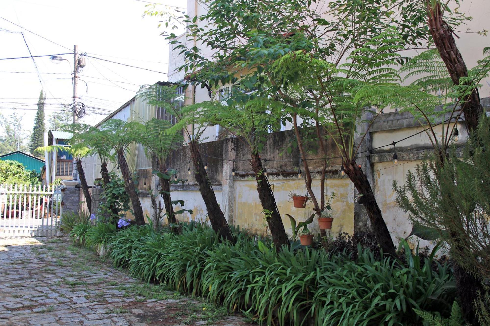 Homestaynhatuiminh Da Lat Exterior photo
